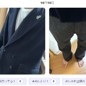 PukuReco：過去の服装画像を活用した衣服選択支援システム